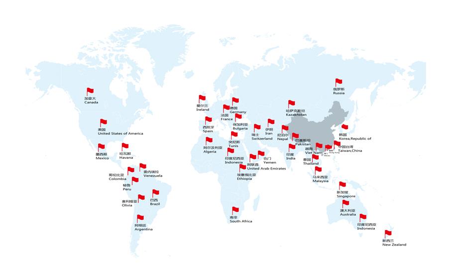 Global Market Global Market