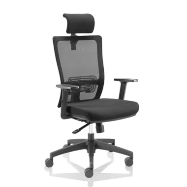 कार्यकारी मेष अध्यक्ष