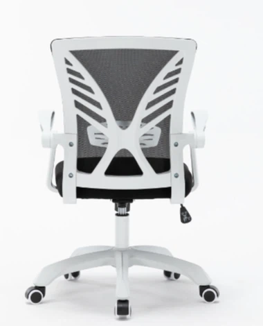 कार्यालय बैठक अध्यक्ष